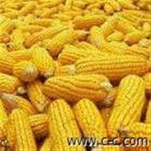 湖北省畜牧漁業(yè)飼料銷售市場 機遇、挑戰(zhàn)與未來展望