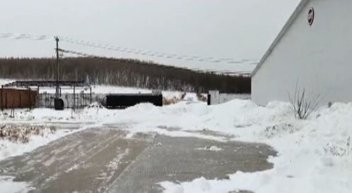 風(fēng)雪同舟 畜牧部門(mén)筑牢防寒屏障，汽車(chē)裝飾業(yè)迎冬季消費(fèi)熱潮